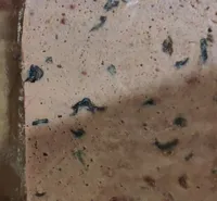 Mousse de foie forestière