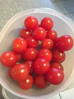 Tomate Cerise Francaise Vrac