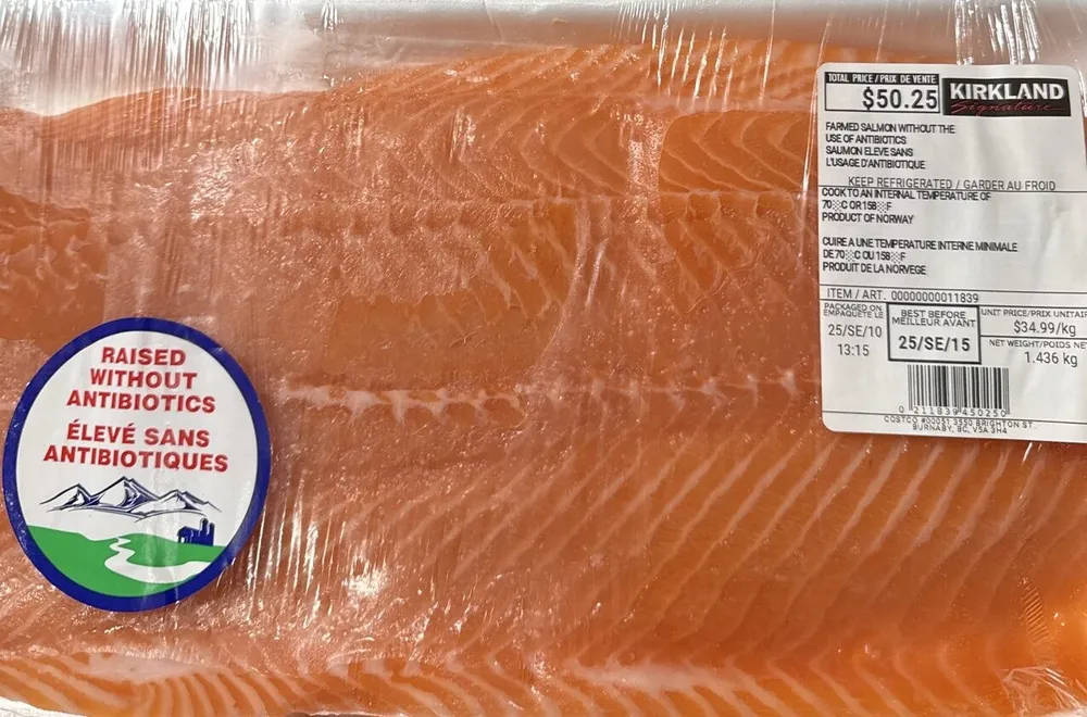 Farmed Salmon Without The Use Of Antibiotics