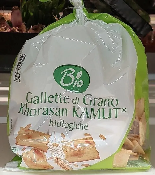 Gallette grano Kamut bio