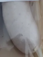Terroirs Boudin blanc de porc à l'ancienne