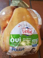 poulet jaune