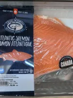 True North Atlantic Salmon