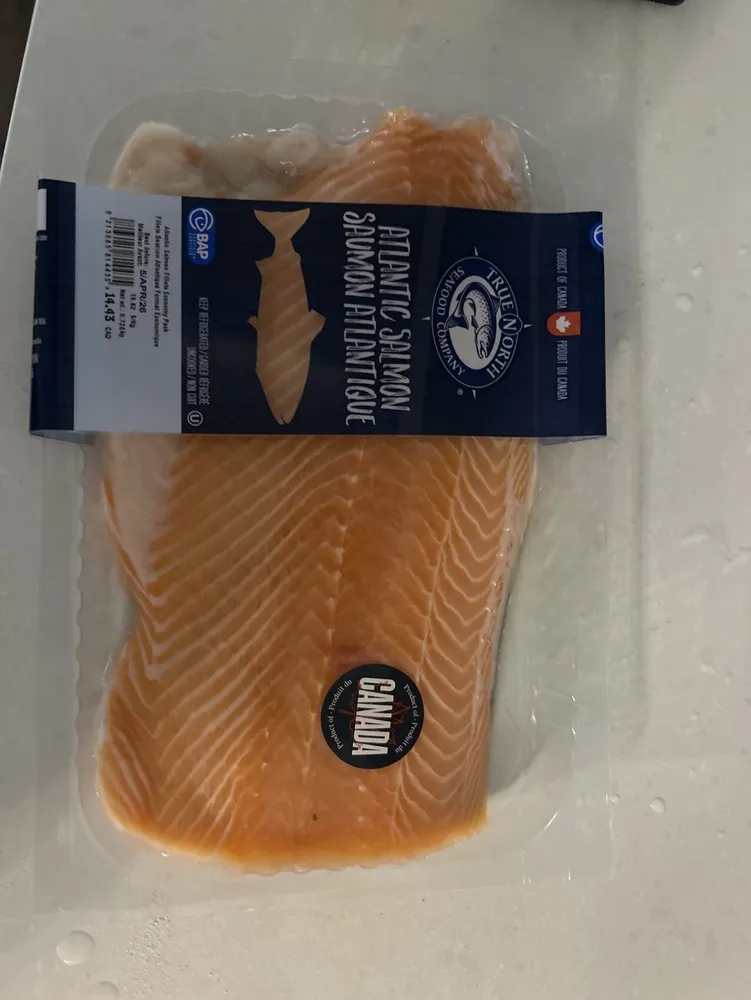 Atlantic Salmon