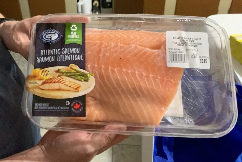 Saumon atlantique