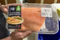Saumon atlantique