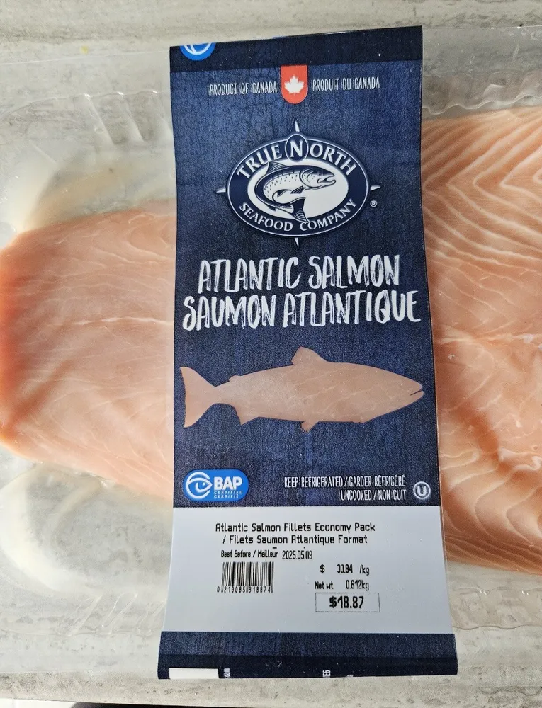 Atlantic Salmon