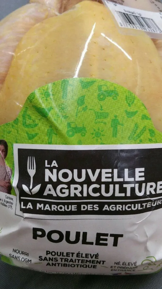 Poulet jaune