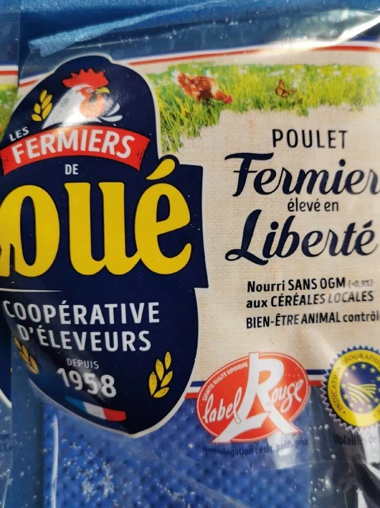 Poulet fermier élevé en liberté