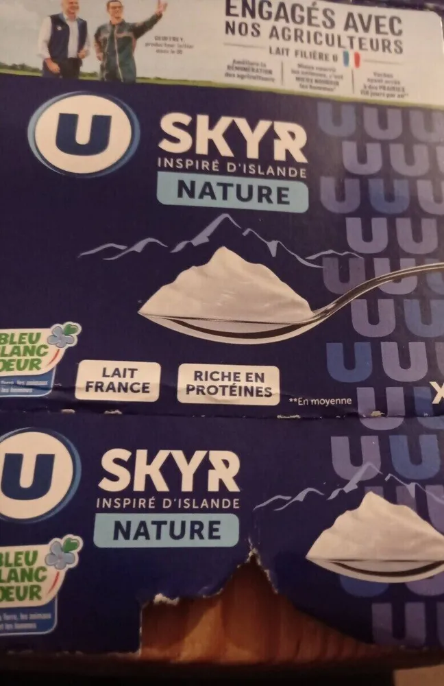 Skyr nature