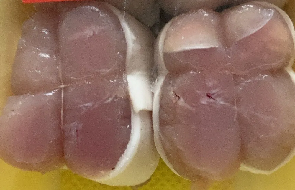 Paupiettes escalope de dinde
