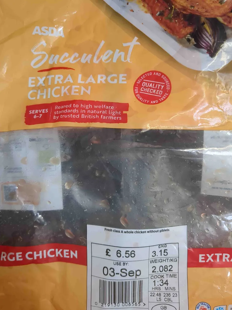 Extra Large Chicken