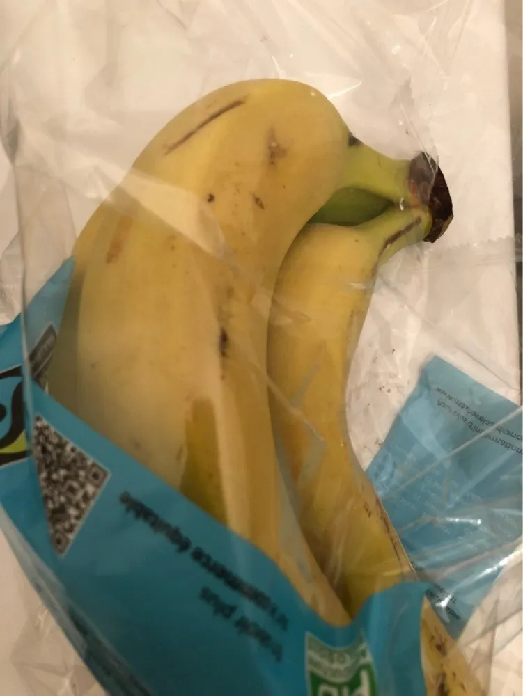 Bananes Cavendish BIO
