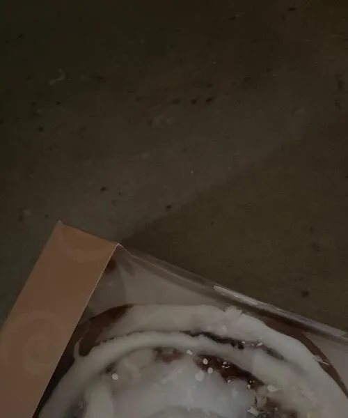 Cinnamome roll