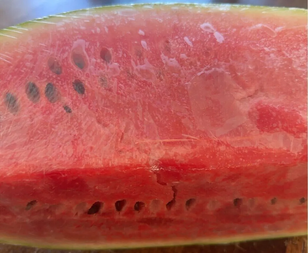 Pasteque