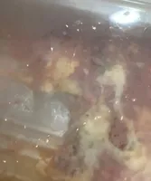 Cheese manicotti