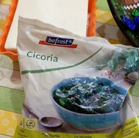Cicoria