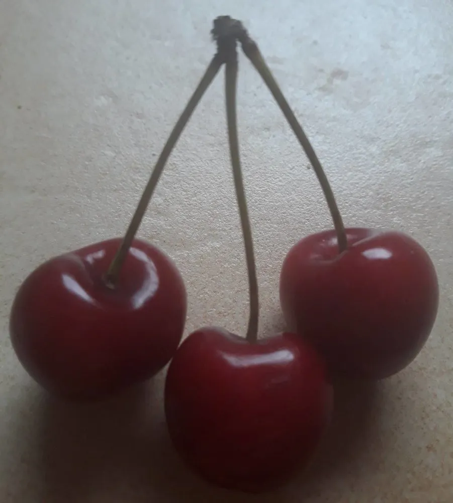 Cerise