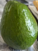 Avocat