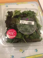 Salade melange jeune pousse
