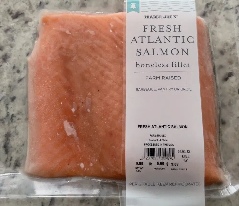 Salmon