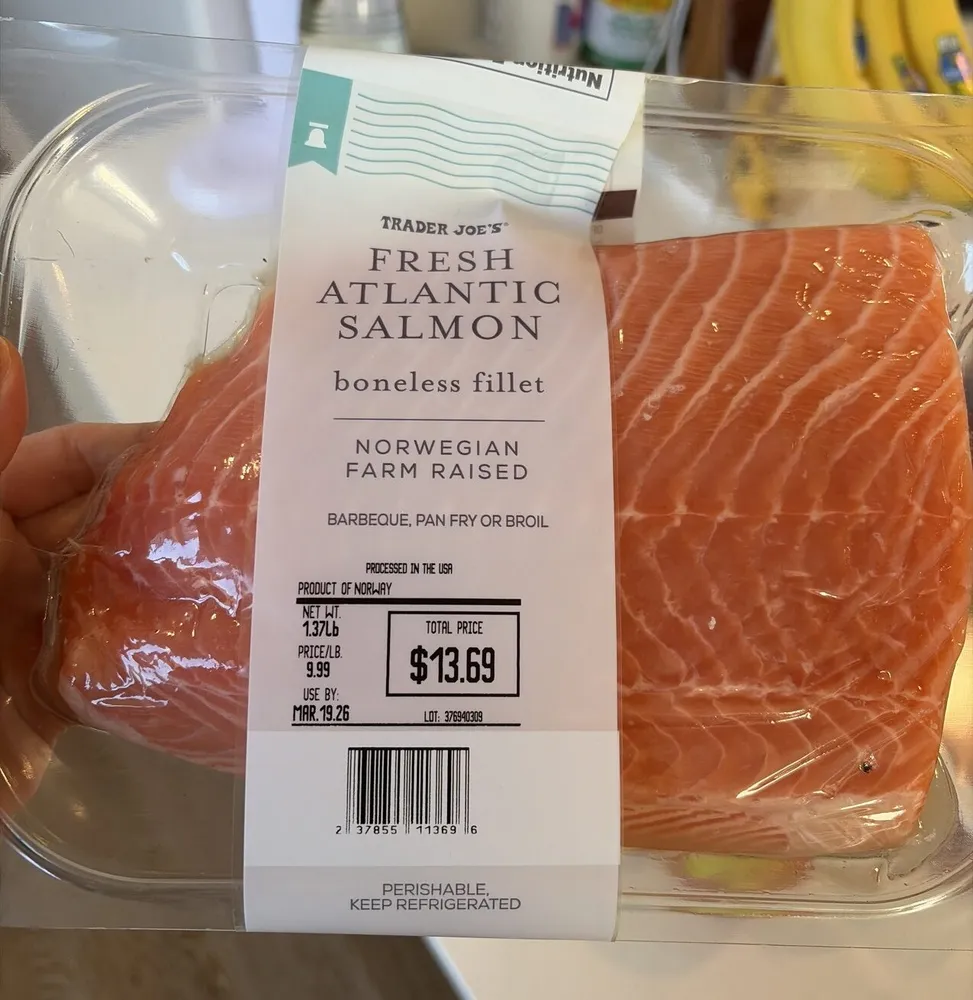 Atlantic Salmon