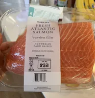 Atlantic Salmon