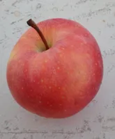 Pomme  royal gala
