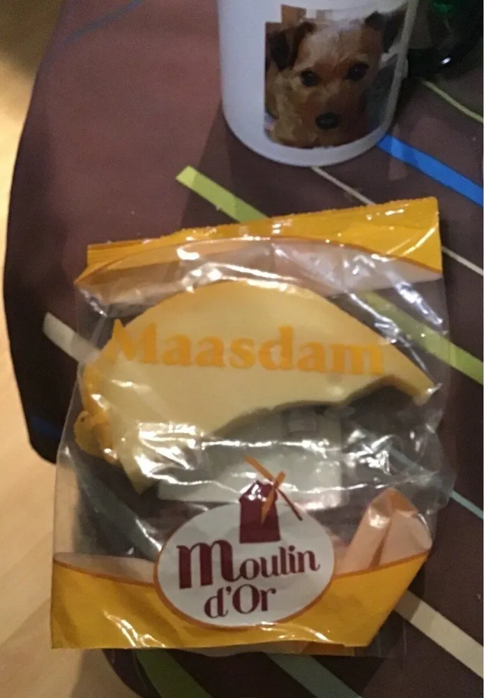 Maasdam