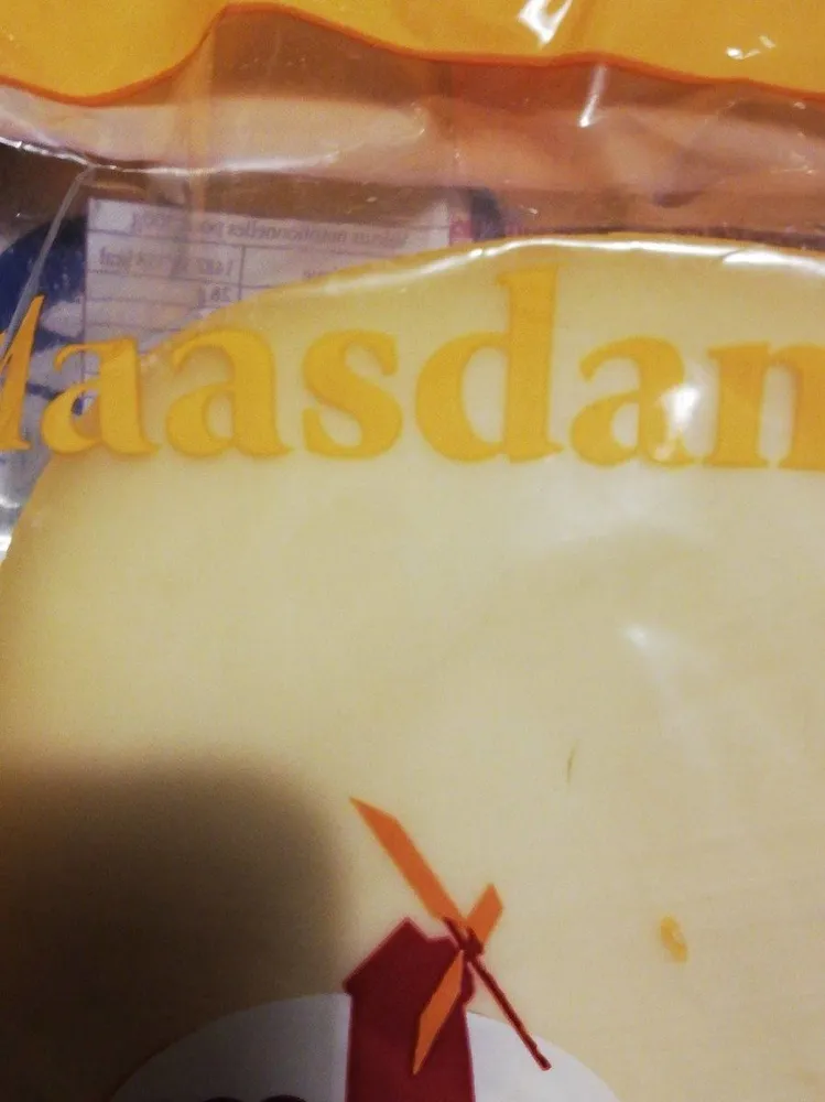Maasdam