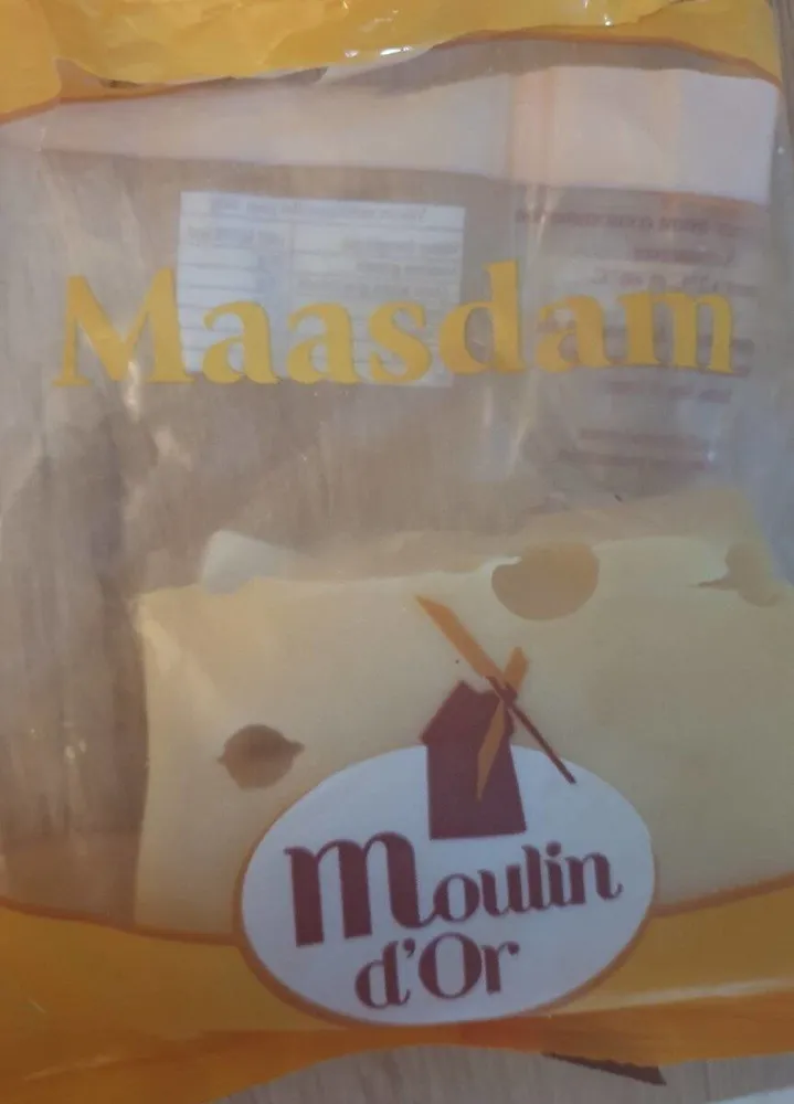 Maasdam