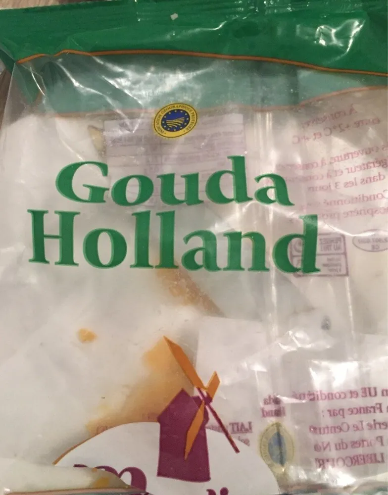 gouda hollande