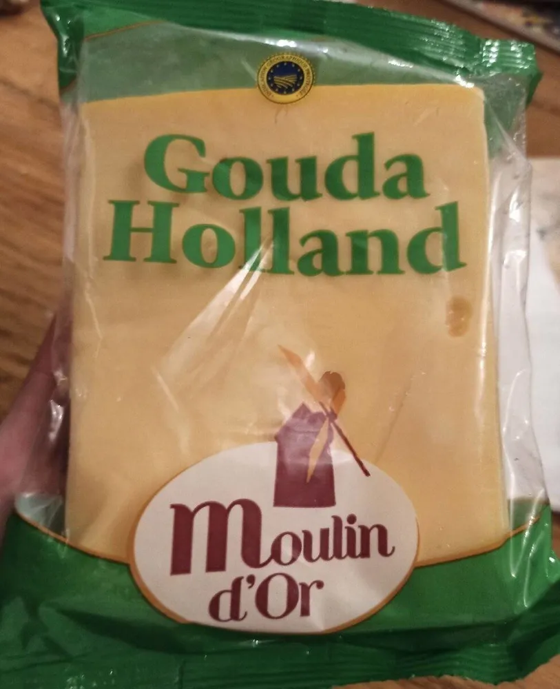 Gouda Holland