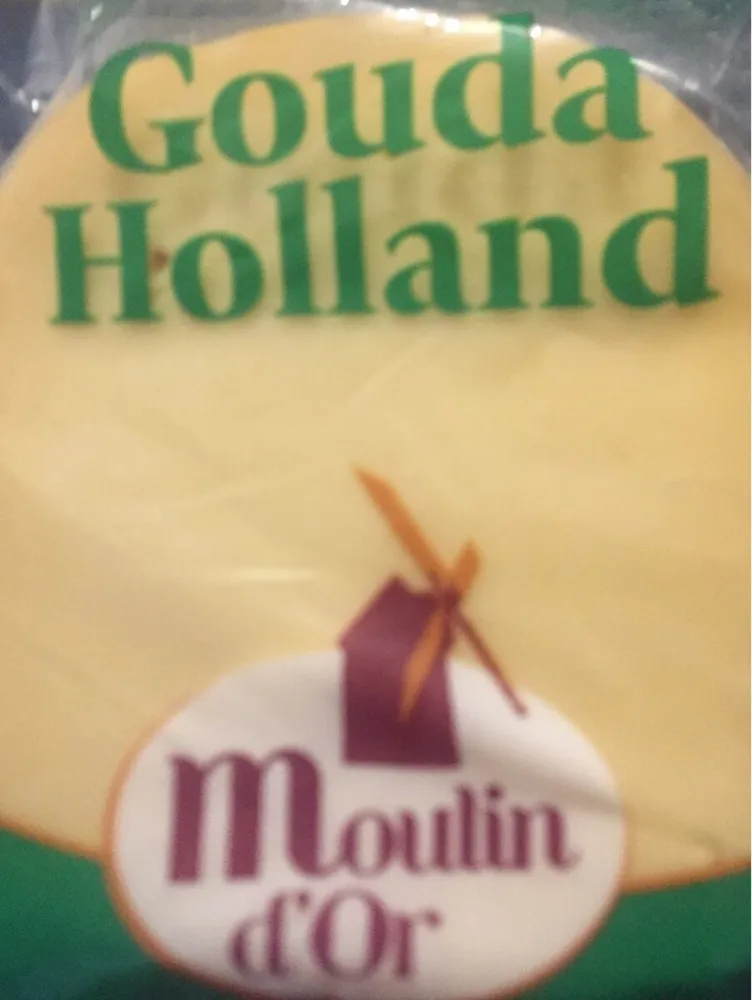 Gouda holland