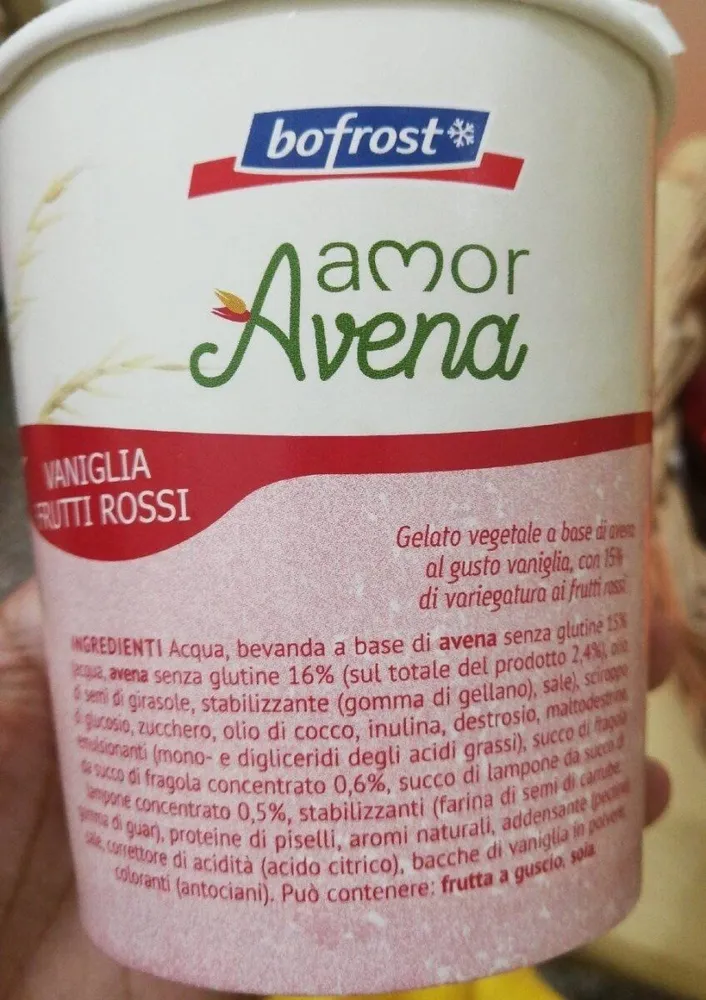 Amor avena vaniglia e frutti rossi gelato vegetale