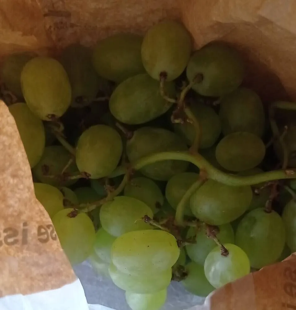 Raisins