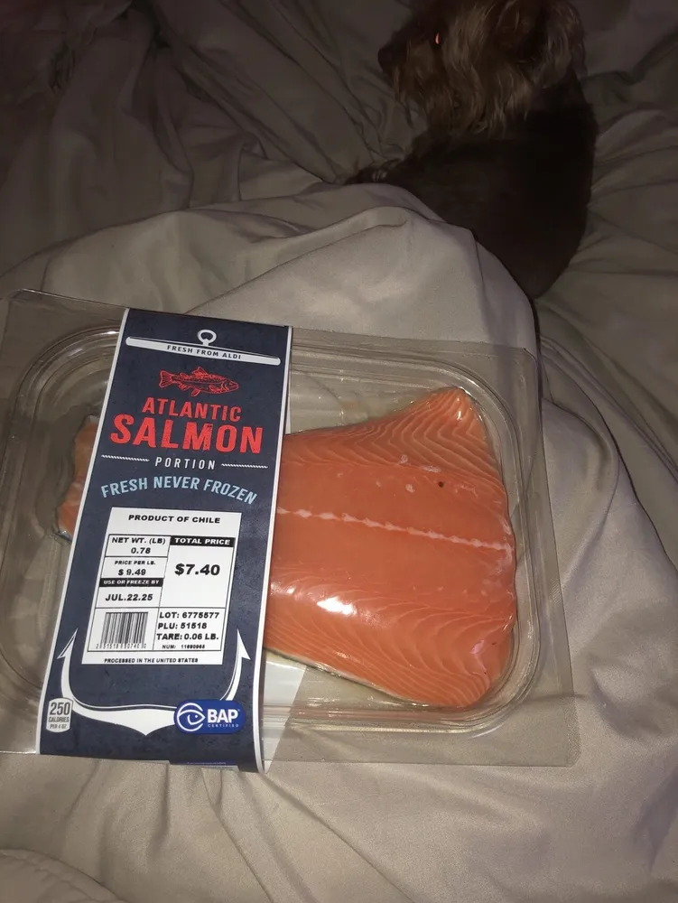 ATLANTIC SALMON PORTION
