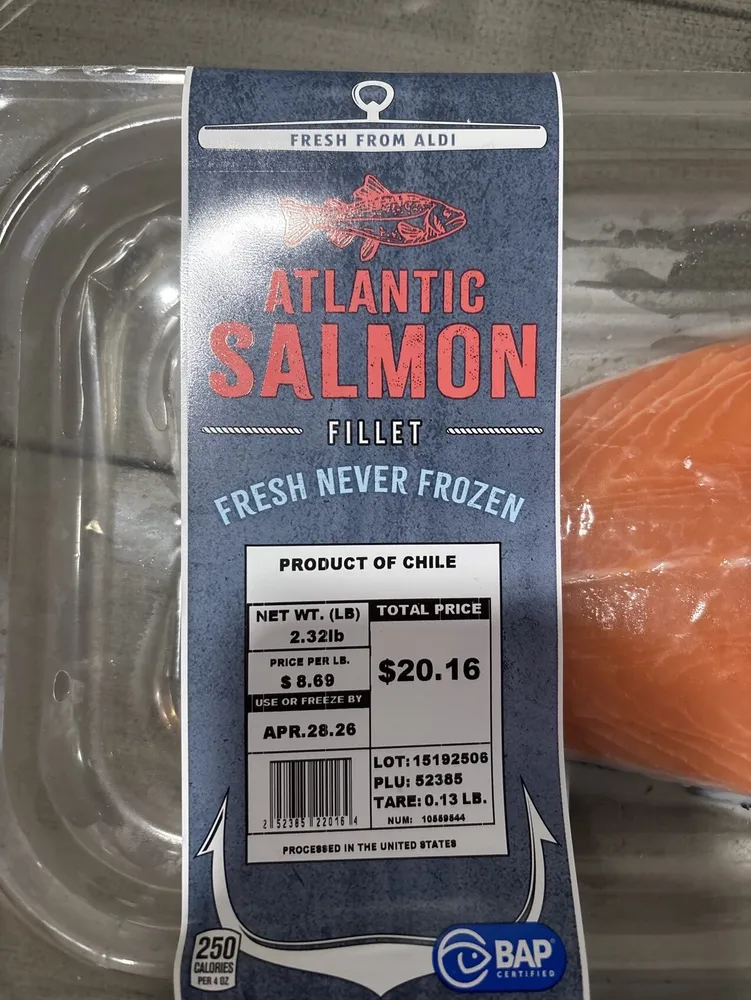 Atlantic Salmon