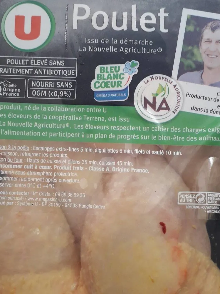 Poulet jaune