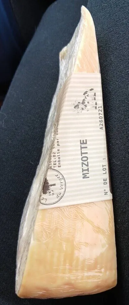 Mizotte