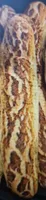Baguette tigrée