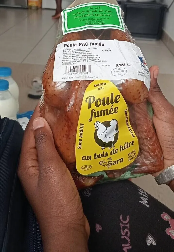 Pollo