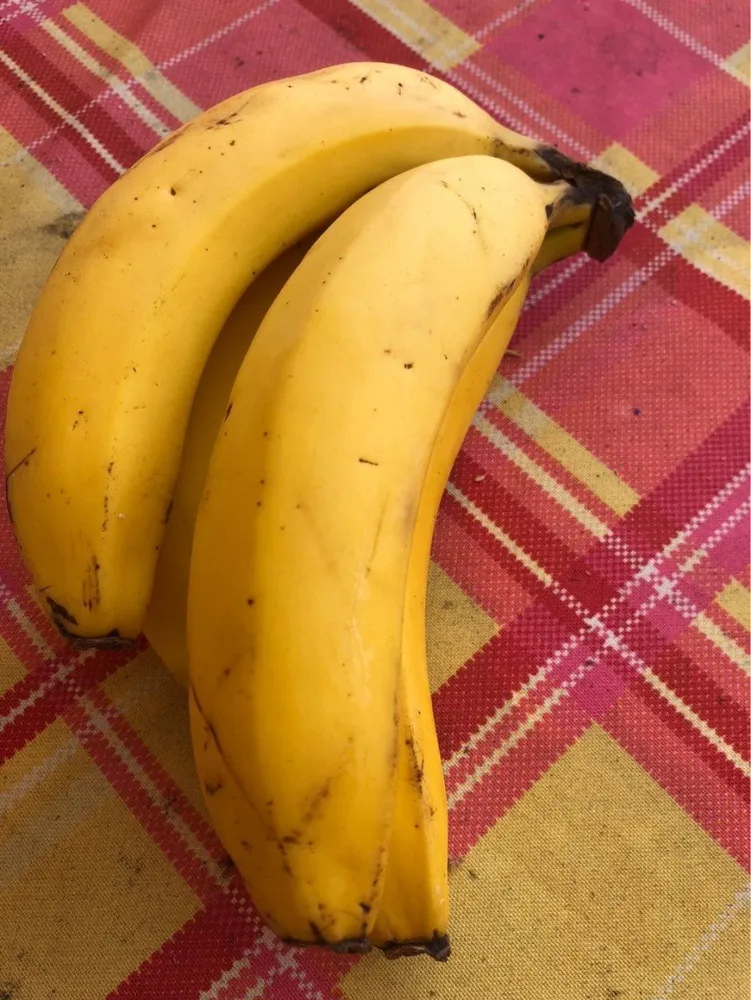 Banane dessert