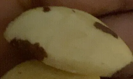 Noix de bresil bio vrac