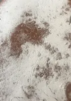 Tropezienne