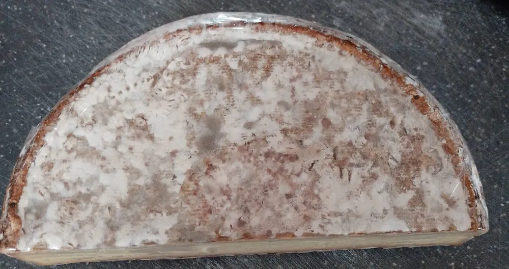 Tomme des Bauges