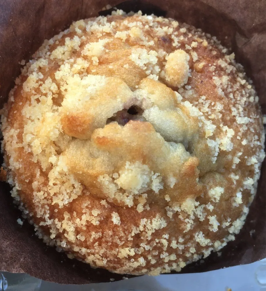 Muffins myrtille