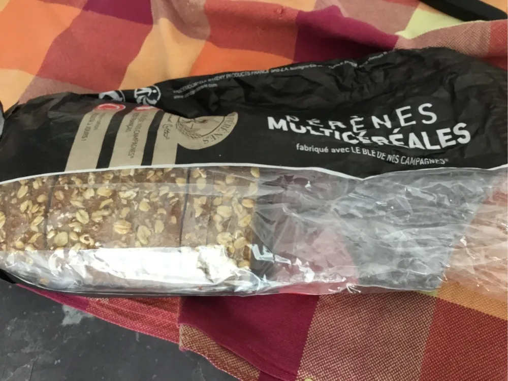 Perene cereales