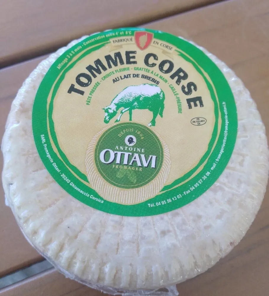 Tomme corse