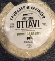 Tomme brebis